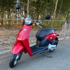 かわいい原付　ホンダ　トゥデイ　原付　スクーター　バイク