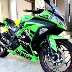 ニンジャ250 希少スペシャルエディション　NINJIA ninjaの画像