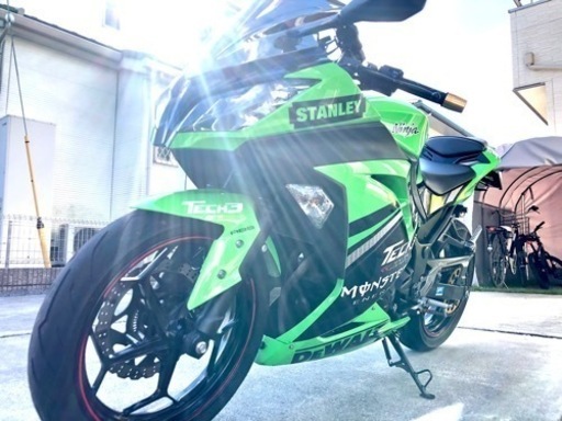 ニンジャ250 希少スペシャルエディション　NINJIA ninja