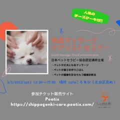 ⏩残り4名！【ペットマッサージ】免疫マッサージケアリストの資格を...