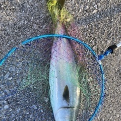 釣り仲間募集！！