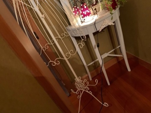 可愛いトルソー