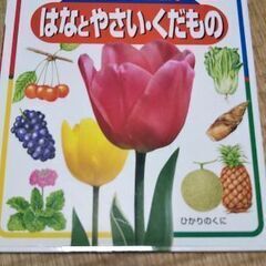 はなとやさい、くだもの