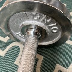 ダンベル　鉄アレイ10キロの画像