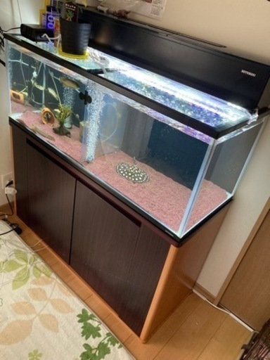 【決まりました】1200×45×45ガラス水槽 セット