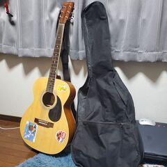 HONEY BEEのギター