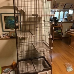 猫ゲージ　３段