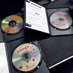 【訳アリ】 DVD  anego アネゴ   Vol,1~3の画像