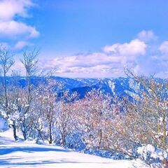登山⛰️&ハイクキング🥾仲間の募集 − 大阪府