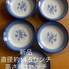 【今週5枚セットで500円】【新品】『岐阜県で購入ステキなお皿5...