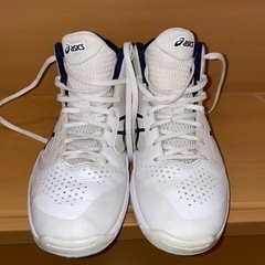 バスケットボールシューズ　練習用に！の画像