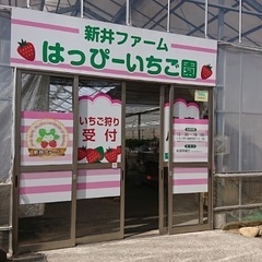 いちご狩り行きたい方　足あり　埼玉所沢　ハッピーいちご園