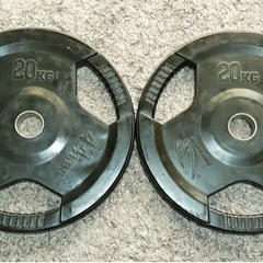 ボディーメーカー プレート20kg ２枚