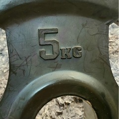 ボディーメーカー　プレート　5kg ２枚の画像