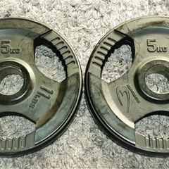 ボディーメーカー　プレート　5kg ２枚の画像