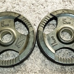 ボディーメーカー　プレート　5kg ２枚