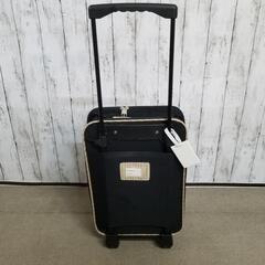 小さなソフトキャリーケース 　の画像