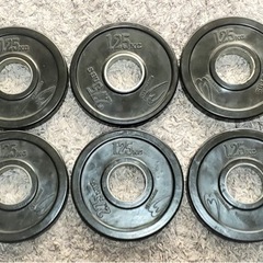 ボディーメーカー　プレート　1.25kg 6枚