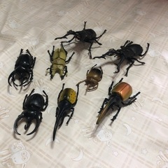 クワガタ、カブト☆