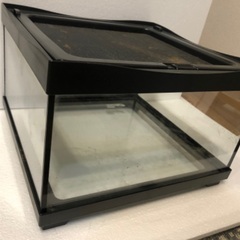 30センチ　レプタイル用水槽