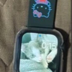 Apple Watch GPSモデル