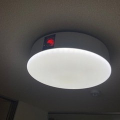 【1月24日まで】ポップインアラジン2   ※取りに来て頂ける方限定の画像