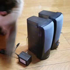MS-40GT マルチメディアスピーカーの画像