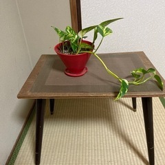 小さなテーブルの画像
