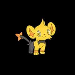 ポケモンカードを教えてくれる人や対戦してくれる人募集します！ - 豊島区