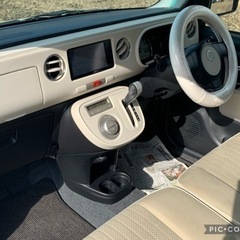 平成24年 人気車両　ココアの画像