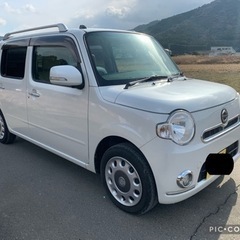 平成24年 人気車両　ココア