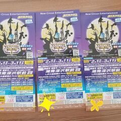 取引中です。安っ!!!!木下大サーカス湘南鎌倉公演　3枚セット　...