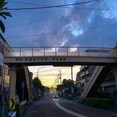 一緒に散歩してくれる方募集