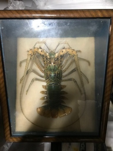 エビの飾り物