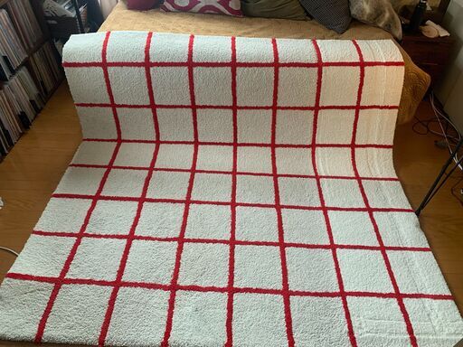 IKEA SIMESTED スィメステド  北欧風 カーペット ラグ パイル長 200 x 200 cm