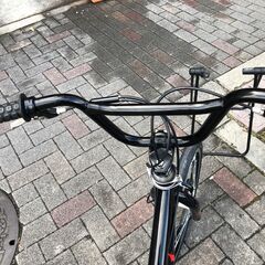 【新古】BMX　Renegade　HEAT　フリースタイルの画像