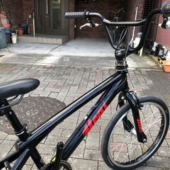 【新古】BMX　Renegade　HEAT　フリースタイルの画像