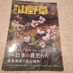 趣味の山野草　2018　本　雑誌　栃の葉書房　7月　日草展　オサ...