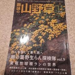 趣味の山野草　2018　本　雑誌　栃の葉書房　11月　らん　蘭　...