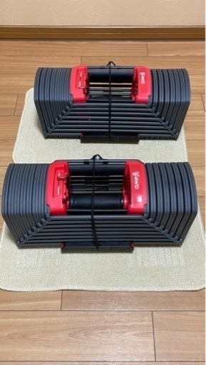 (取引中)可変式ダンベル　40kg ２個セット　4WD ブロックダンベル