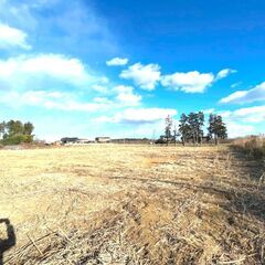 総敷地面積「8,205㎡」茨城県笠間市国道355号沿い - 笠間市