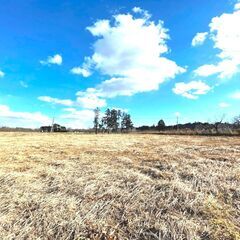 総敷地面積「8,205㎡」茨城県笠間市国道355号沿い - 土地販売/土地売買