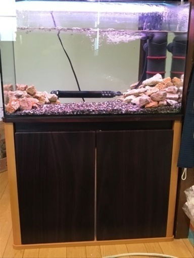 ガラス水槽60規格水槽ブラックシリコン