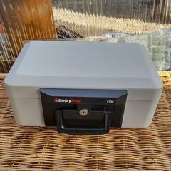 ◆耐火金庫　Sentry Safe 1100◆