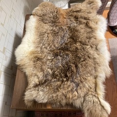 さつき人形の画像