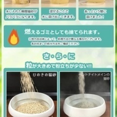 猫砂1袋8ℓ★ひのきの香りの画像
