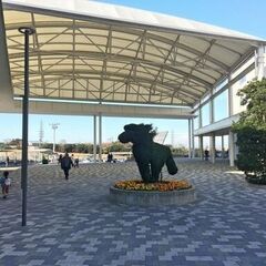 急募❕1月29日限定✨中京競馬場でのお仕事