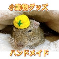 小動物を中心としたハンドメイド作品の販売会を開催します。