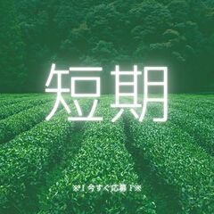 ◎カンタン事務×短期1ヶ月半◎人気の日勤帯！未経験でも時給1400円♪女性スタッフ活躍中の人気案件☆【ms】A11K0267-4(1)の画像