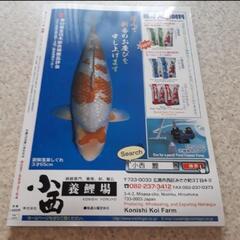 一月　日鱗　ニチリン　にちりん　2018　鯉　錦鯉　コイ　魚　本　雑誌　専門書の画像